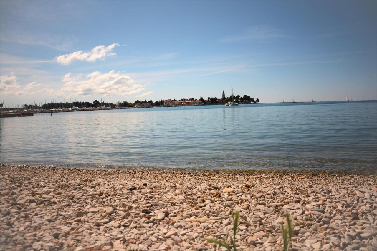 Villa Vienna Novigrad Istria Dış mekan fotoğraf