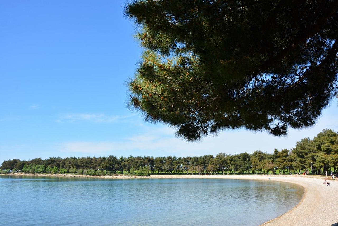 Villa Vienna Novigrad Istria Dış mekan fotoğraf