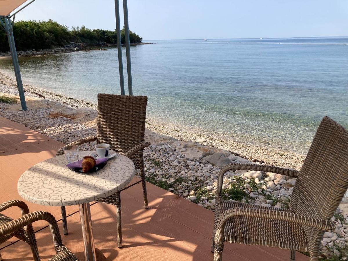 Villa Vienna Novigrad Istria Dış mekan fotoğraf